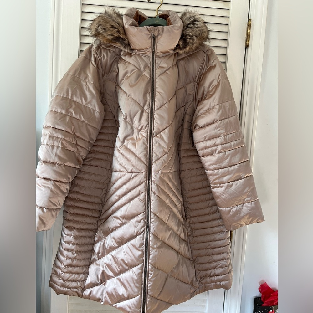Winter Coat